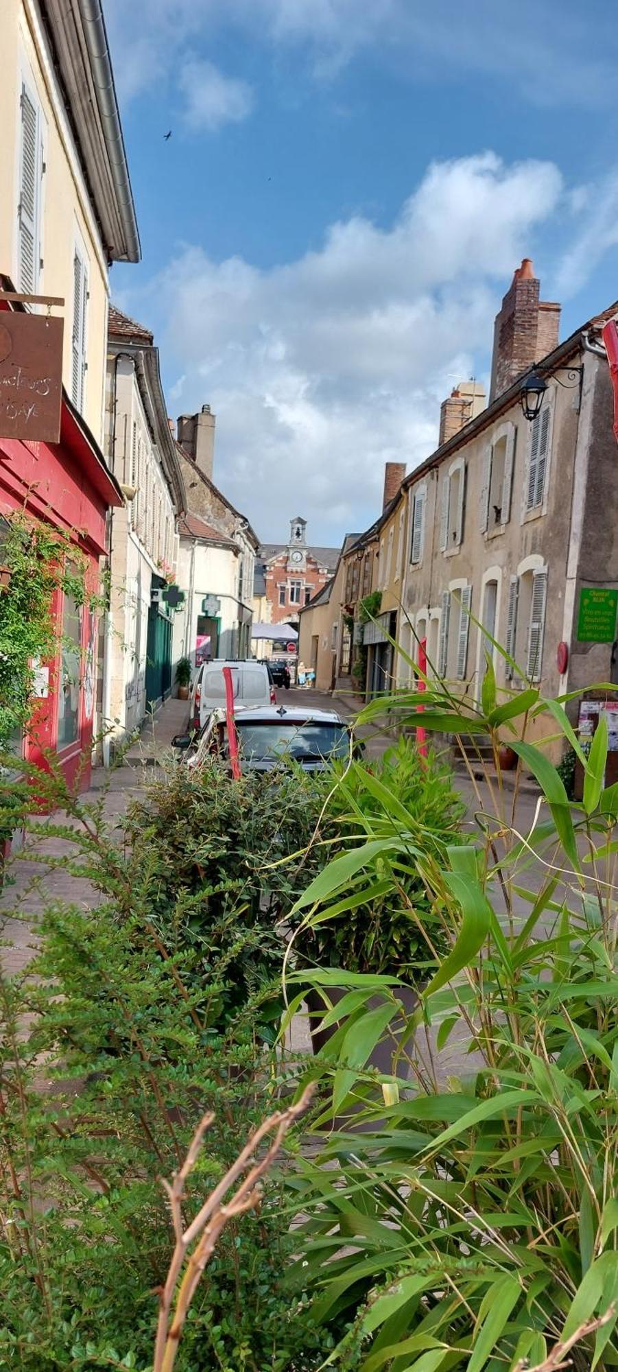 Sur Les Ailes Du Papillon-La Suite Saint-Sauveur-en-Puisaye Exterior foto